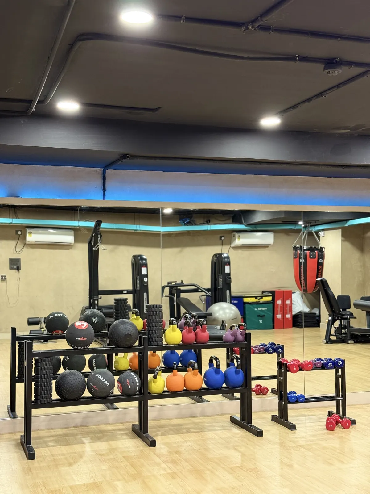 Medicine balls and kettlebells racked in the studio room