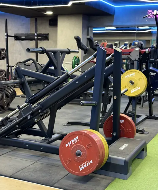 Plate-loaded hack squat