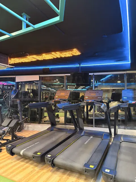 Treadmills at the window